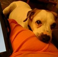 Yelp User image