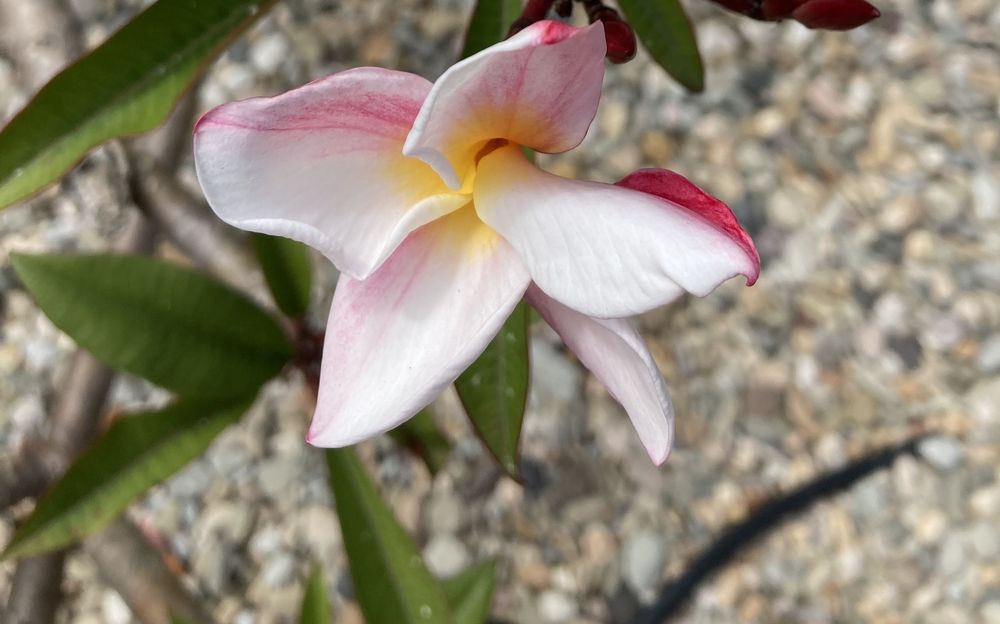 reviewer-profile-image