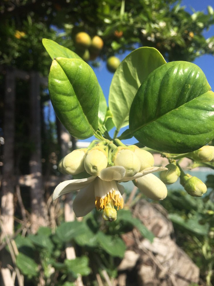 reviewer-profile-image