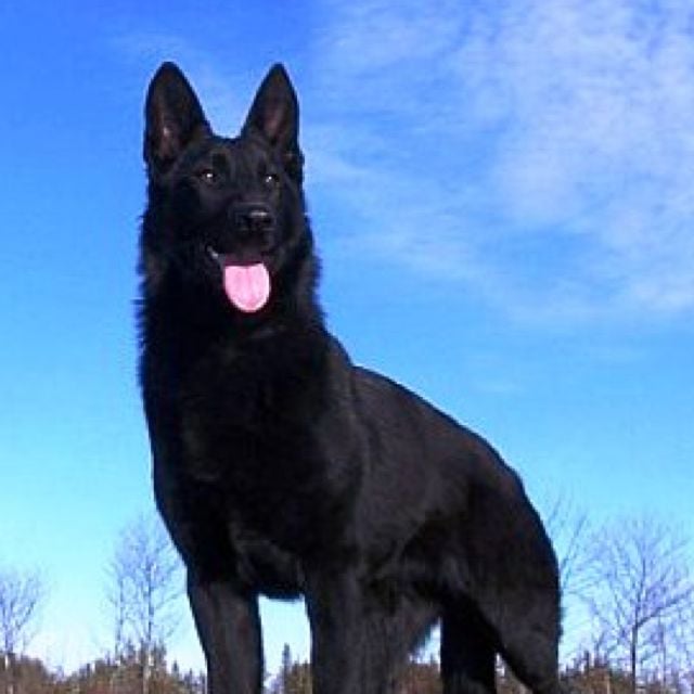 reviewer-profile-image