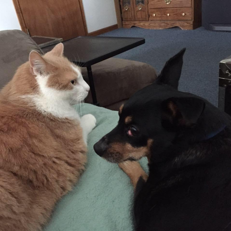 reviewer-profile-image