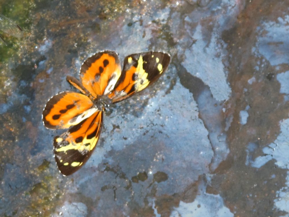 reviewer-profile-image