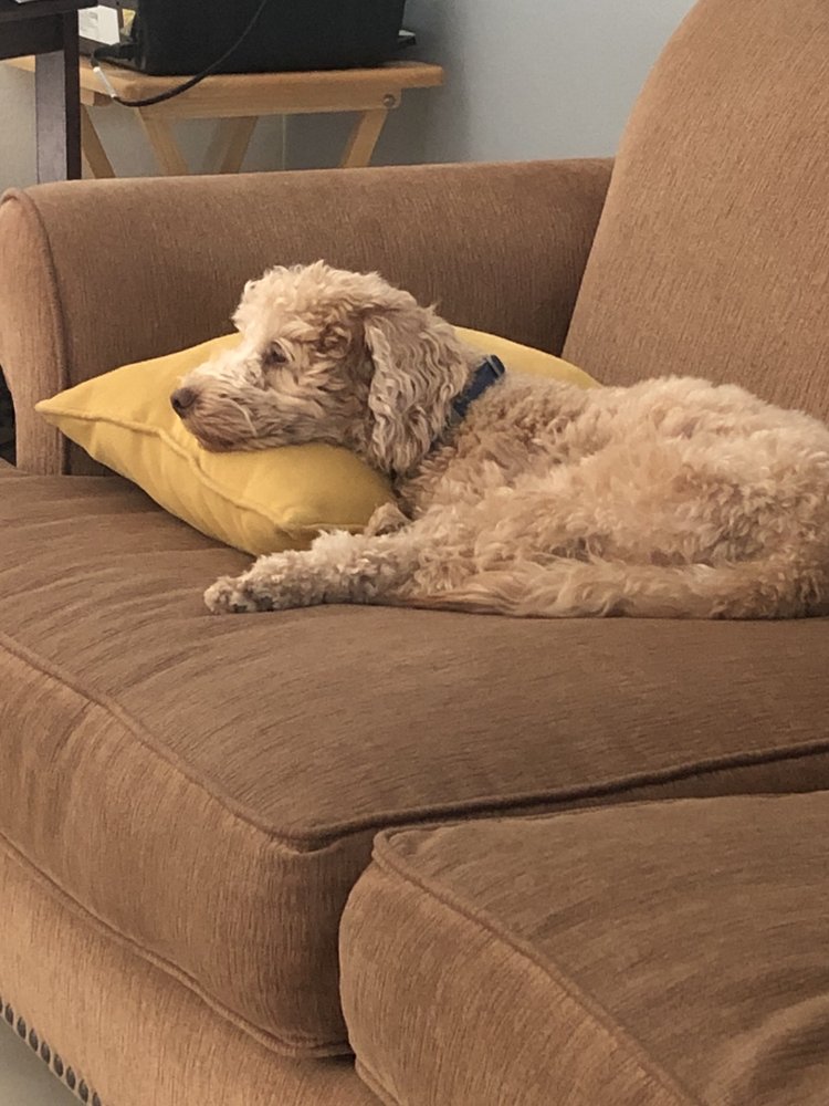 reviewer-profile-image