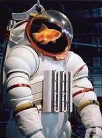 reviewer-profile-image