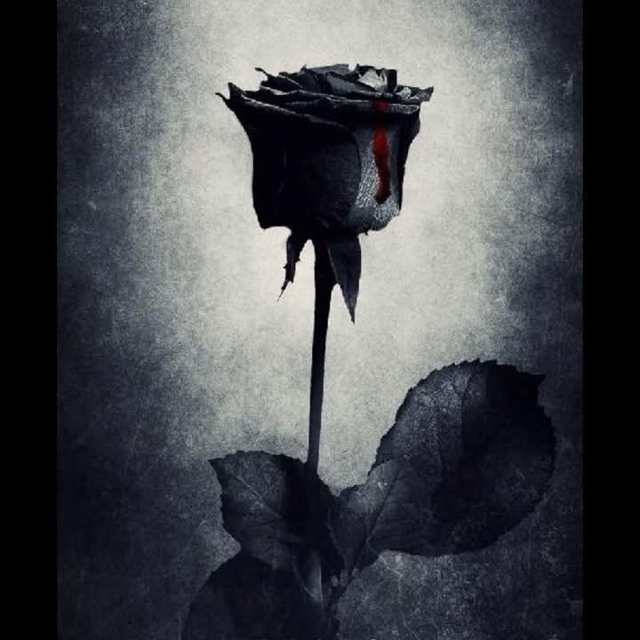 reviewer-profile-image