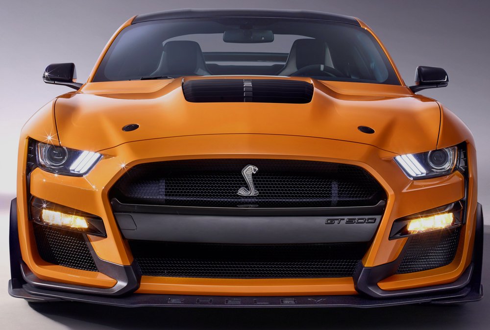 reviewer-profile-image