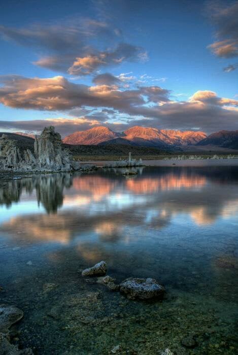 reviewer-profile-image