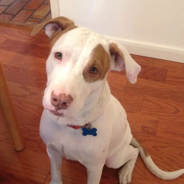 reviewer-profile-image