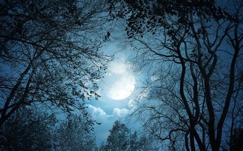 reviewer-profile-image