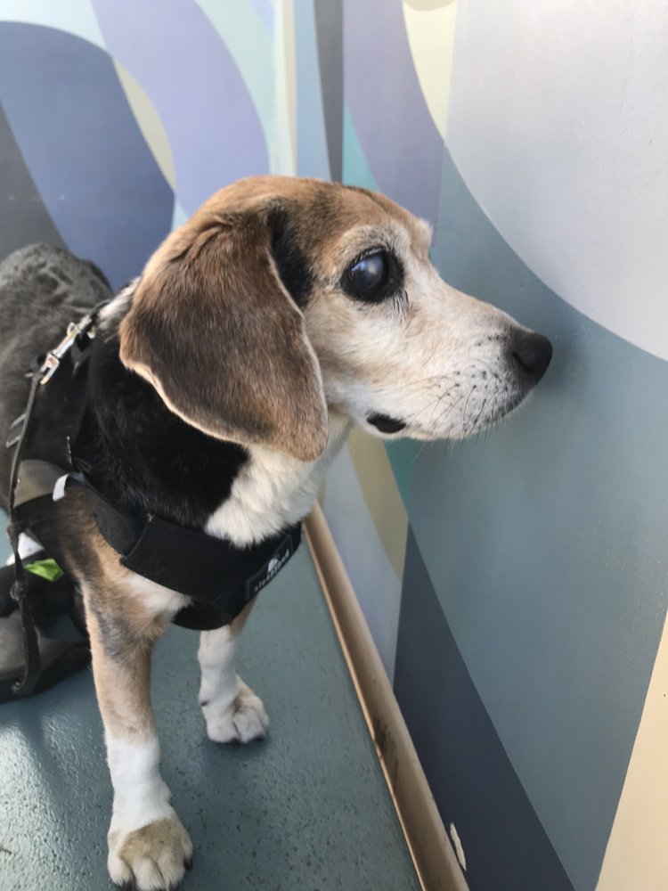 reviewer-profile-image