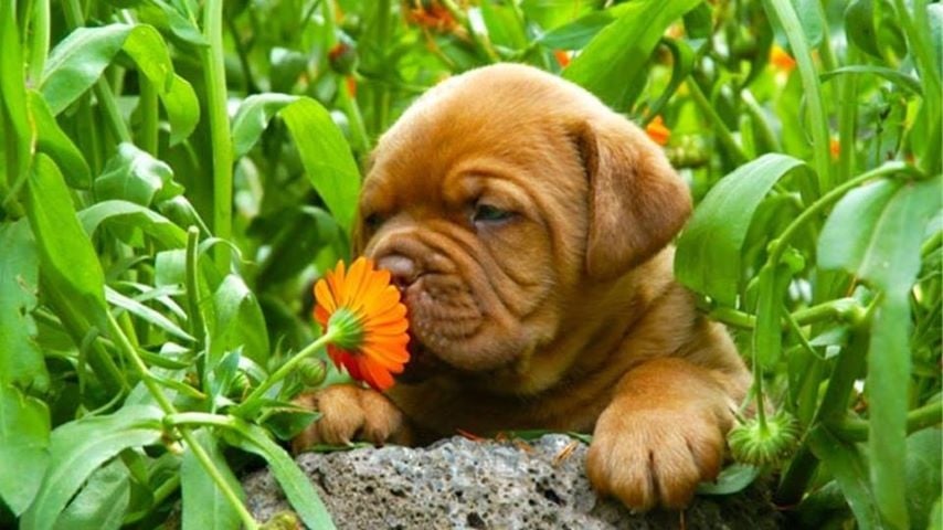 reviewer-profile-image