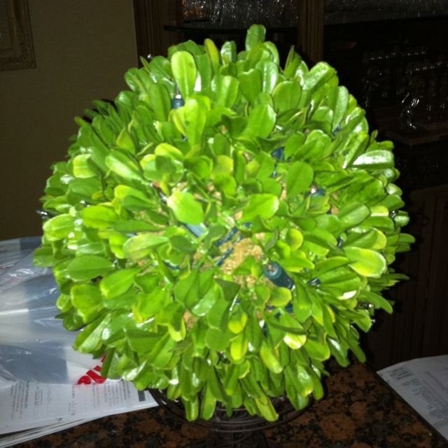 reviewer-profile-image