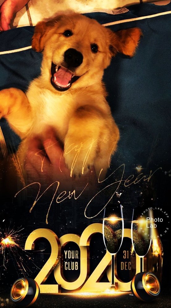 reviewer-profile-image