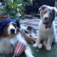 reviewer-profile-image