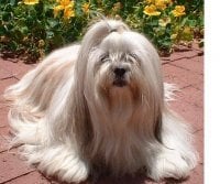 reviewer-profile-image