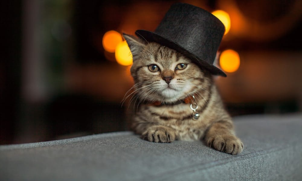 reviewer-profile-image