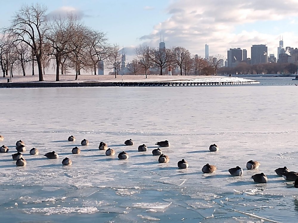 reviewer-profile-image