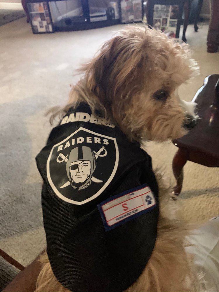 reviewer-profile-image