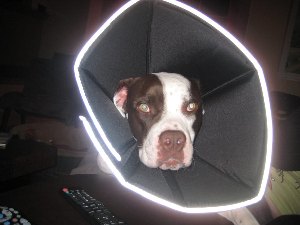 reviewer-profile-image