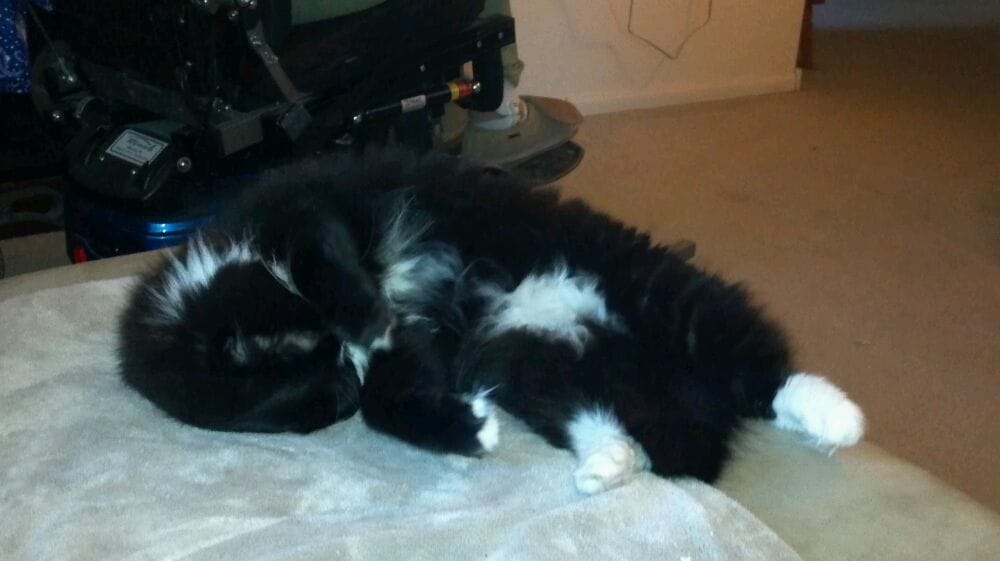 reviewer-profile-image